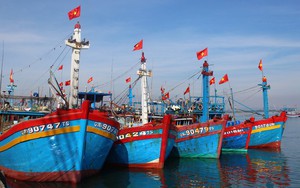 Trước ngày 1/7, tích hợp tài khoản VNeID thực hiện các thủ tục về đăng ký tàu cá, khai thác thủy sản