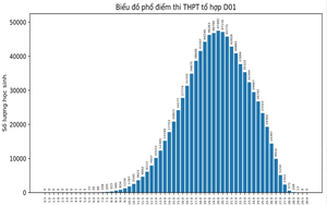 Phổ điểm tốt nghiệp THPT 2024: Căn cứ quan trọng lựa chọn đăng ký nguyện vọng chuẩn