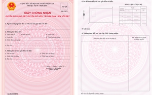 TOÀN VĂN: Thông tư 10/2024/TT-BTNMT quy định Giấy chứng nhận quyền sử dụng đất, quyền sở hữu tài sản gắn liền với đất