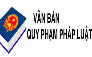 Bộ Nội vụ bãi bỏ 20 Quyết định, Thông tư về công chức, viên chức, bổ nhiệm, xếp lương,...