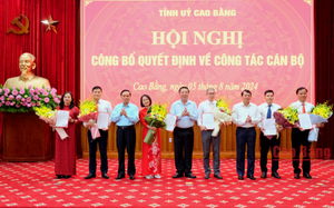 Chỉ định Bí thư thư Huyện ủy; bổ nhiệm 3 Phó Giám đốc Sở,... 