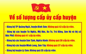 Cơ cấu, số lượng cấp ủy viên cấp huyện nhiệm kỳ 2025 - 2030 tại Quảng Ngãi