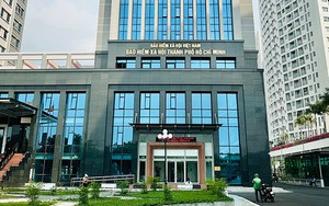 Chức năng, nhiệm vụ, quyền hạn và cơ cấu tổ chức của BHXH cấp tỉnh