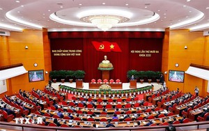 Thủ tướng Chính phủ, Bộ trưởng Bộ Quốc phòng bổ nhiệm nhân sự mới- Ảnh 3. Quy định số 377-QĐ/TW về phân cấp quản lý cán bộ và quy hoạch, bổ nhiệm, giới thiệu ứng cử, tạm đình chỉ công tác, cho thôi giữ chức vụ, từ chức, miễn nhiệm đối với cán bộ