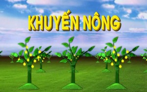 Thông tư số 60/2025/TT-BNNMT quy định về đơn vị sự nghiệp công lập khuyến nông cấp tỉnh, cấp xã- Ảnh 7. Quy định mới về Trung tâm khuyến nông cấp tỉnh