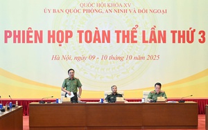 Thẩm tra dự án Luật sửa đổi, bổ sung một số điều của 10 luật có liên quan đến an ninh, trật tự