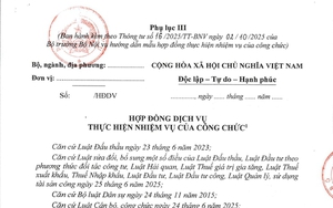 Mẫu hợp đồng dịch vụ thực hiện nhiệm vụ của công chức (ký kết với pháp nhân) áp dụng từ 16/11