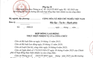 Mẫu hợp đồng lao động thực hiện nhiệm vụ của công chức áp dụng từ 16/11