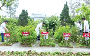 Chậm nhất đến hết 31/12/2030 hoàn thành chuyển Trạm Y tế cấp xã thành đơn vị sự nghiệp công lập