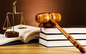 Chính phủ quy định về cưỡng chế thi hành quyết định xử phạt vi phạm hành chính