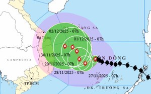 THỦ TƯỚNG: ỨNG PHÓ BÃO SỐ 15 Ở MỨC CAO NHẤT, QUYẾT LIỆT NHẤT