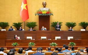 Sửa quy định về miễn thị thực; đăng ký thường trú; xe khách, taxi không phải lắp ghế trẻ em