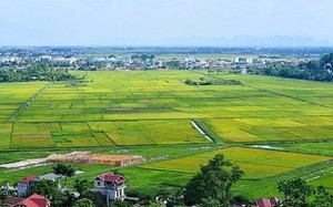 Đề xuất mới về cấp giấy chứng nhận quyền sử dụng đất, cho thuê, chuyển mục đích sử dụng đất,...
