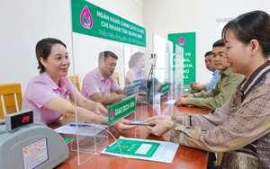 Từ 1/1/2026, nâng mức cho vay hỗ trợ tạo việc làm, duy trì, mở rộng việc làm