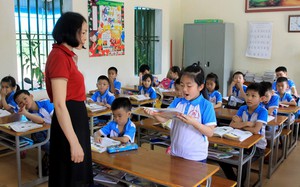 Đẩy nhanh tiến độ sắp xếp các trường mầm non, tiểu học, trung học cơ sở, trường liên cấp