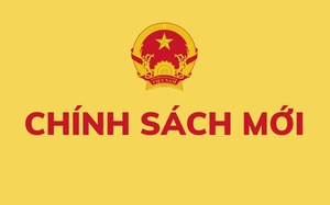 Nghị định 344/2025/NĐ-CP điều chỉnh mức trợ cấp hằng tháng với thanh niên xung phong