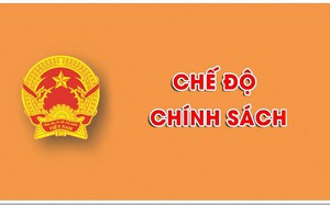 Quy định hợp đồng làm việc đối với viên chức, chấm dứt hợp đồng
