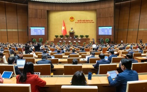 Những điểm mới của LUẬT TỔ CHỨC CHÍNH PHỦ 2025