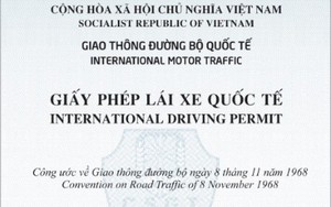 QUY ĐỊNH MẪU GIẤY PHÉP LÁI XE QUỐC TẾ