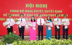 Giao quyền Chủ tịch UBND tỉnh, thành lập các cơ quan chuyên môn, bổ nhiệm lãnh đạo Sở