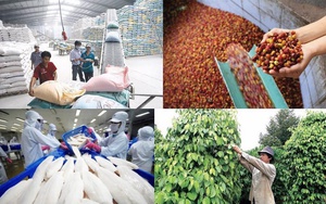 Triển khai chương trình tín dụng 100.000 tỷ đồng đối với lĩnh vực nông, lâm, thủy sản