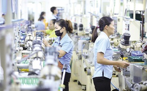 Thiết kế chính sách cần thông thoáng tạo điều kiện cho doanh nghiệp phát triển, tăng về số lượng, nâng cao chất lượng