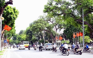 Chỉ thị số 11/CT-TTg về tăng cường triển khai Luật Trật tự, an toàn giao thông đường bộ