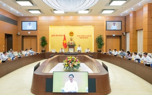 Đề xuất thành lập Tòa án nhân dân khu vực; xây dựng mô hình tổ chức hệ thống Tòa án 3 cấp