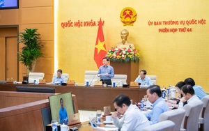 Sửa đổi Luật Quốc tịch: Đề xuất 2 chính sách lớn