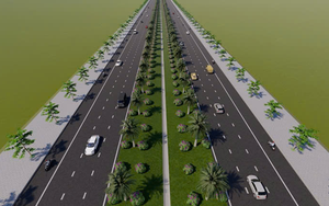 Đề xuất đầu tư 29 nghìn tỷ xây cao tốc rộng 130m kết nối 2 TP Nam Định - Hoa Lư