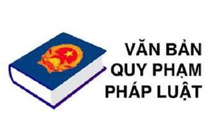 TOÀN VĂN: Nghị định 79/2025/NĐ-CP về kiểm tra, rà soát, hệ thống hoá và xử lý văn bản quy phạm pháp luật