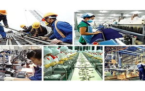 Rà soát, sửa đổi các quy định về chế độ tài chính, kế toán, thuế, bảo hiểm đối với doanh nghiệp siêu nhỏ
