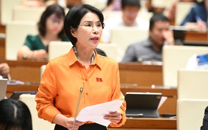 Đề xuất mở rộng đối tượng viên chức được thành lập, tham gia quản lý, điều hành, làm việc tại doanh nghiệp