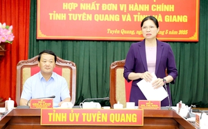 Thông qua dự thảo Đề án thành lập mới Đảng bộ tỉnh Tuyên Quang