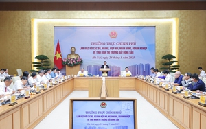 Khẩn trương nghiên cứu ban hành chính sách đánh thuế bất động sản không sử dụng