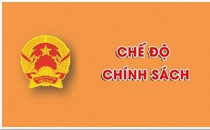 TINH GIẢN BIÊN CHẾ: Đề xuất chính sách thôi việc