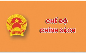 Dự kiến chính sách với người hoạt động không chuyên trách ở cấp xã nghỉ ngay khi thực hiện chính quyền địa phương 2 cấp