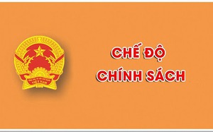 Đề xuất chính sách với người hoạt động không chuyên trách ở thôn, tổ dân phố dôi dư do sắp xếp