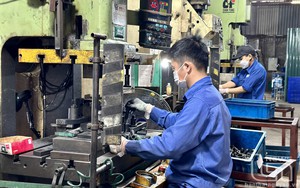 Phát triển kinh tế tư nhân: Hỗ trợ thực chất, hiệu quả doanh nghỉệp nhỏ, siêu nhỏ và hộ kinh doanh