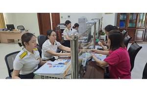 Tiếp tục sắp xếp lại cơ quan thuế, kho bạc, thống kê, bảo hiểm xã hội