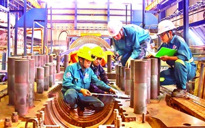 Hình thành và phát triển nhanh các tập đoàn kinh tế tư nhân tầm cỡ khu vực và toàn cầu