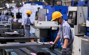 Phát triển kinh tế tư nhân: Khuyến khích các doanh nghiệp lớn dẫn dắt chuỗi cung ứng nội địa