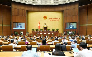 Tiếp thu, giải trình và chỉnh lý dự thảo Luật Việc làm (sửa đổi)
