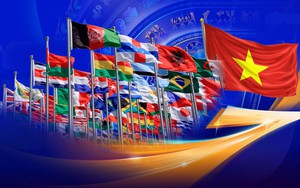 Chính phủ phân quyền, phân cấp trong lĩnh vực đối ngoại
