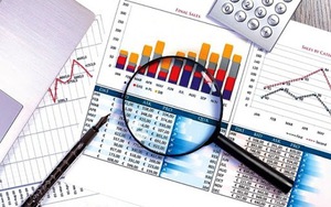 Chính phủ phân quyền, phân cấp trong lĩnh vực thống kê