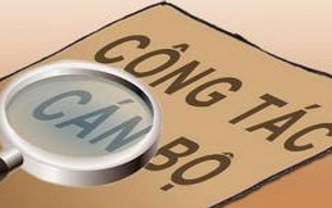 Chủ tịch UBND cấp xã bổ nhiệm Trưởng phòng, Phó Trưởng phòng chuyên môn