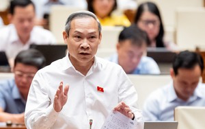 Kiến nghị tổng rà soát, bãi bỏ các văn bản cản trở kinh tế tư nhân; thành lập Ủy ban cải cách thể chế