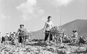 Quy định hồ sơ xét hưởng chế độ trợ cấp với thanh niên xung phong đã hoàn thành nhiệm vụ trong kháng chiến