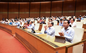 Thông qua Luật Tham gia lực lượng gìn giữ hòa bình của Liên Hợp Quốc