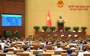 Thông qua Luật sửa đổi, bổ sung Luật xử lý vi phạm hành chính